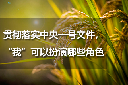 貫徹落實中央一號文件，“我”可以扮演哪些角色？
